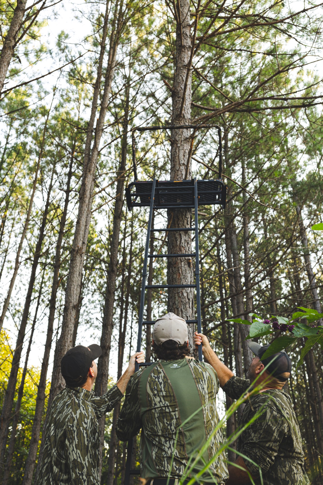 tree stand