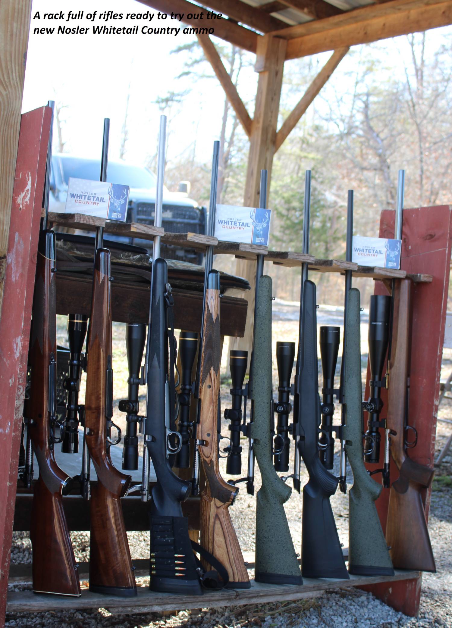 rack of guns