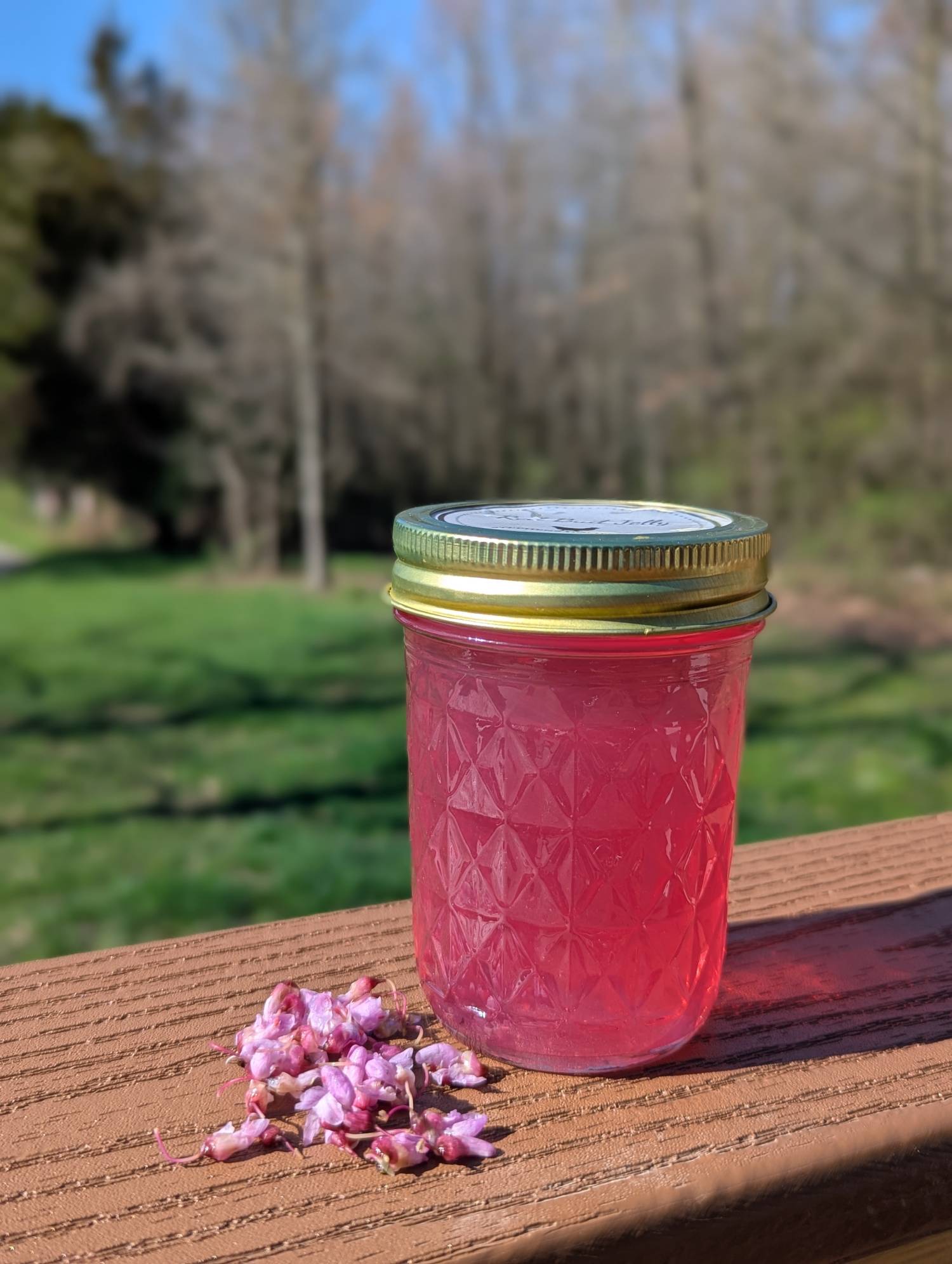 redbud jelly