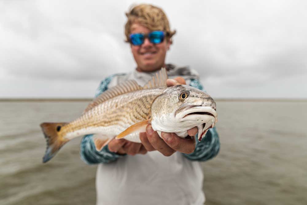 redfish