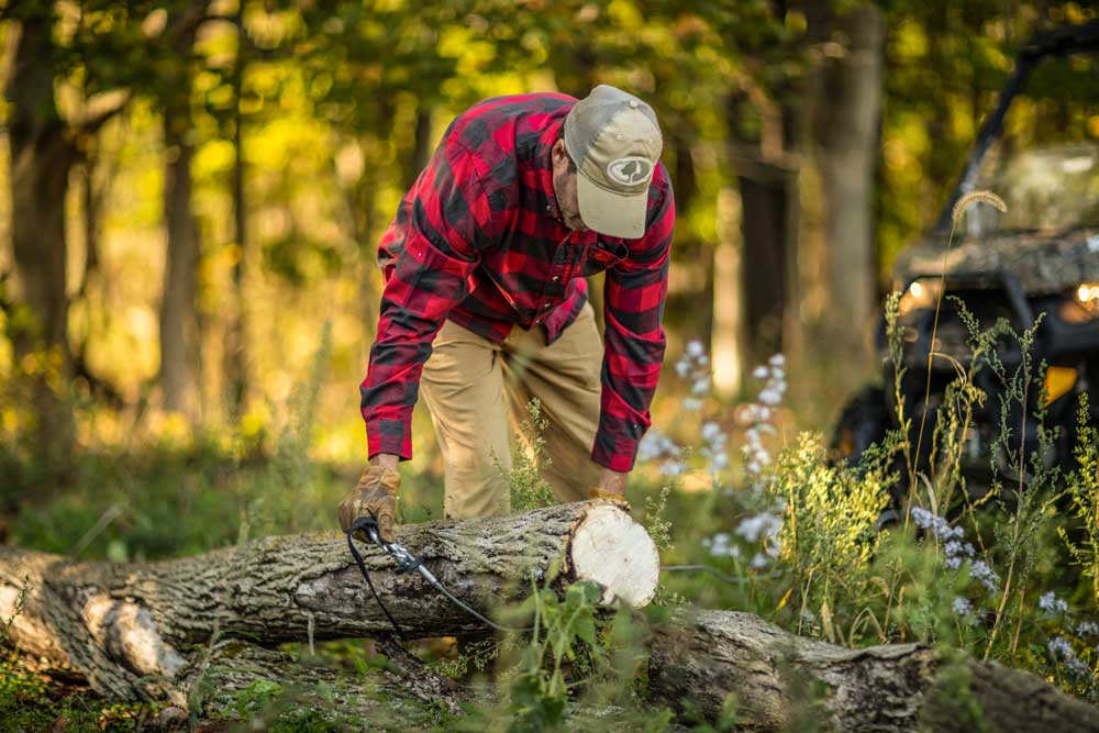 removing cut down trees