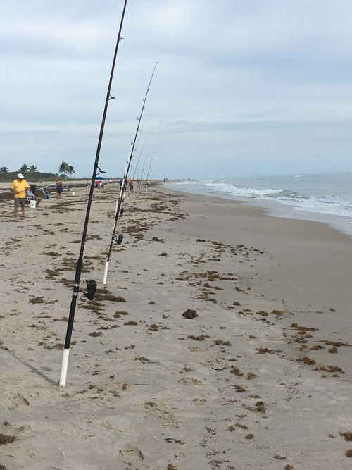 A shoreline with fishing rods on the ground and a nice sunny water