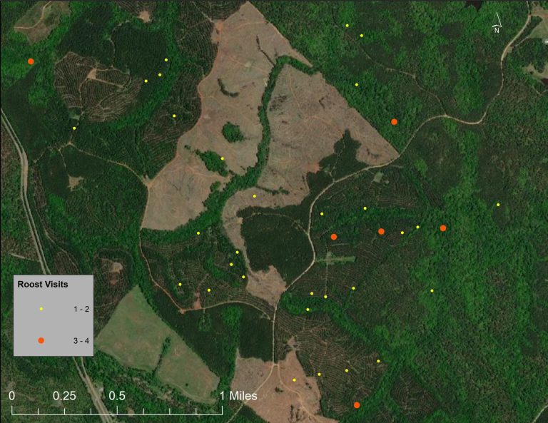roost locations