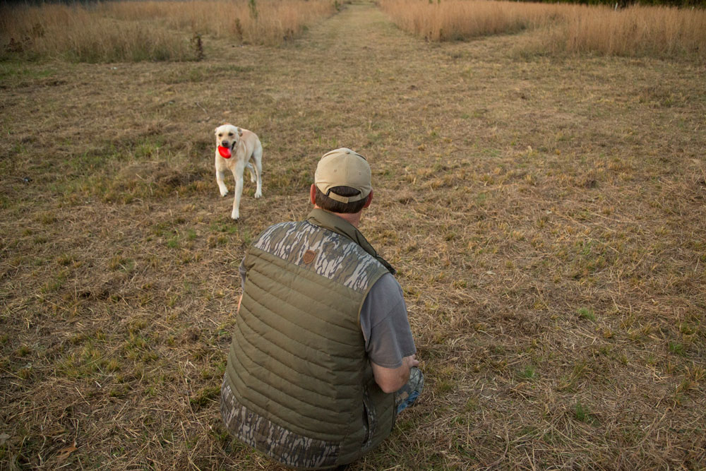 scent training lab