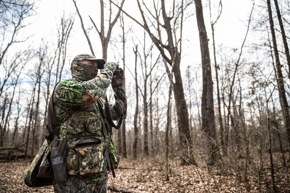 scouting turkeys