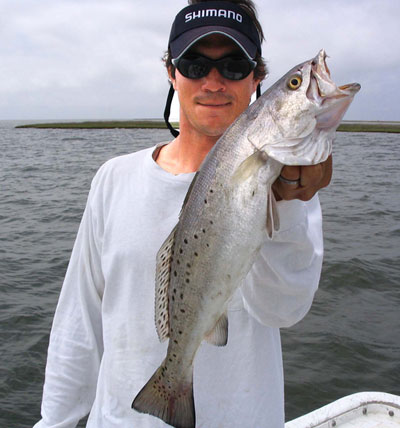 speckled seatrout