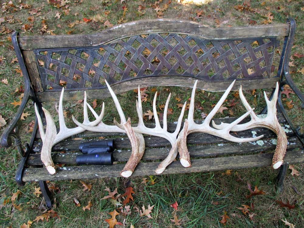 sheds on bench