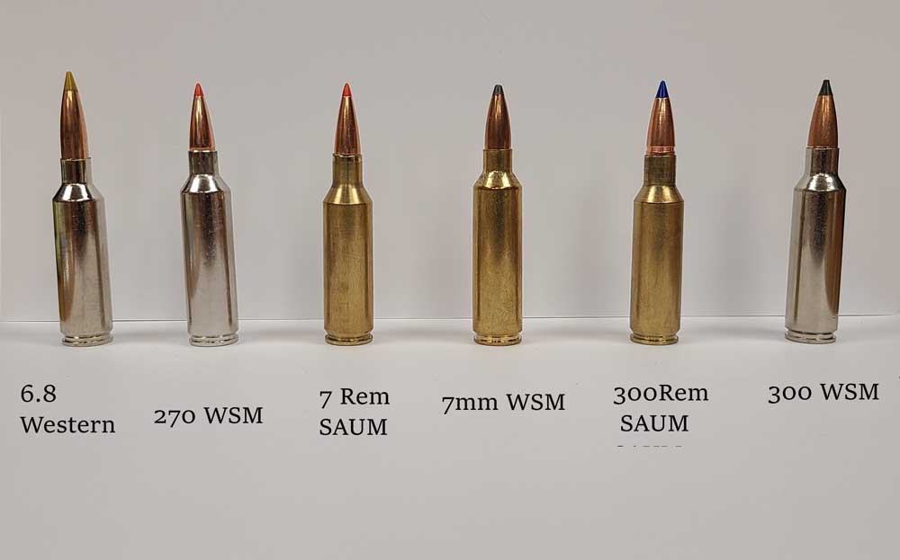 short mag bullets