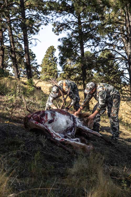skinning elk