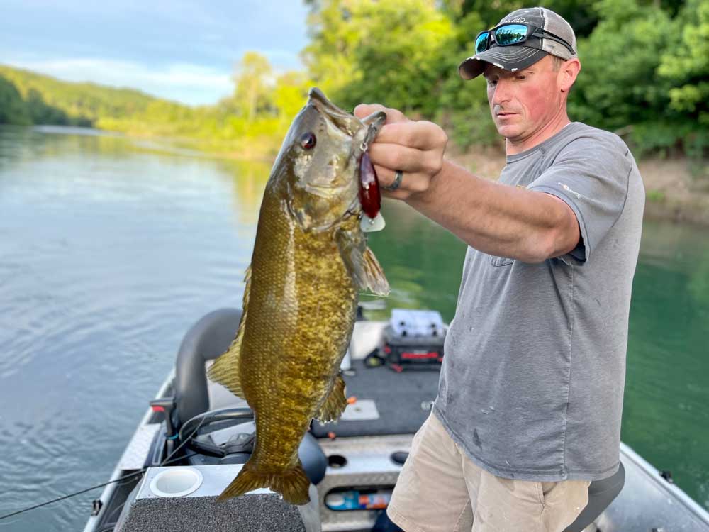 smallmouth bass in small river