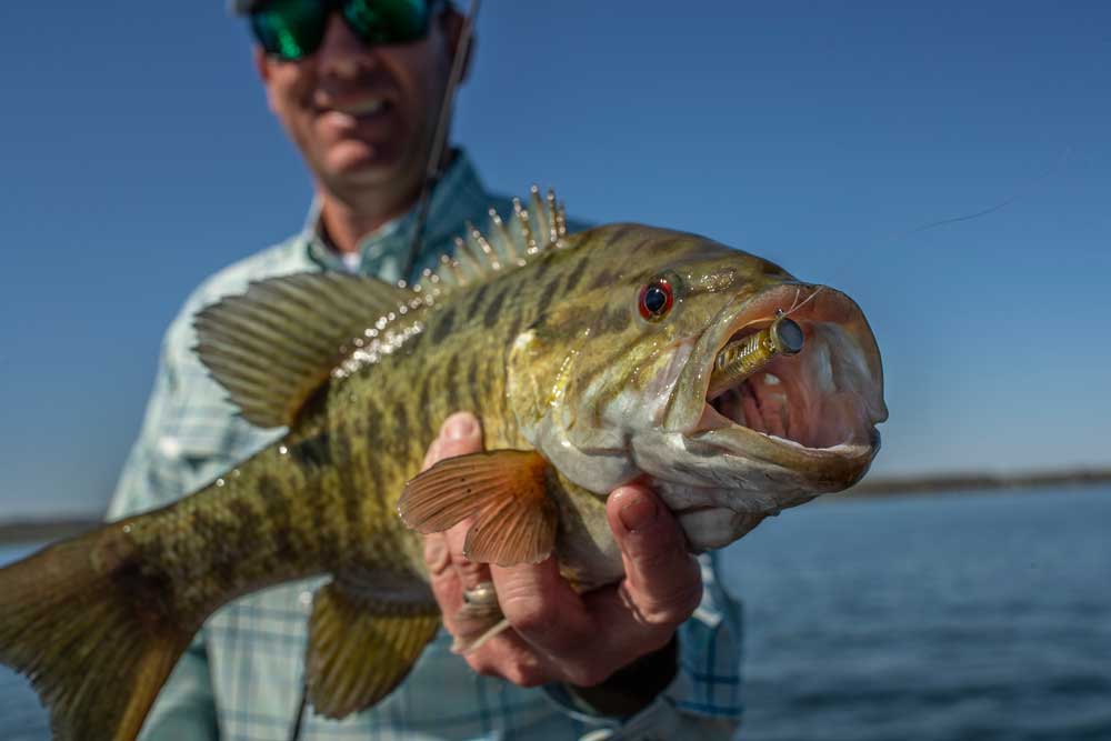 Smallmouth Bass