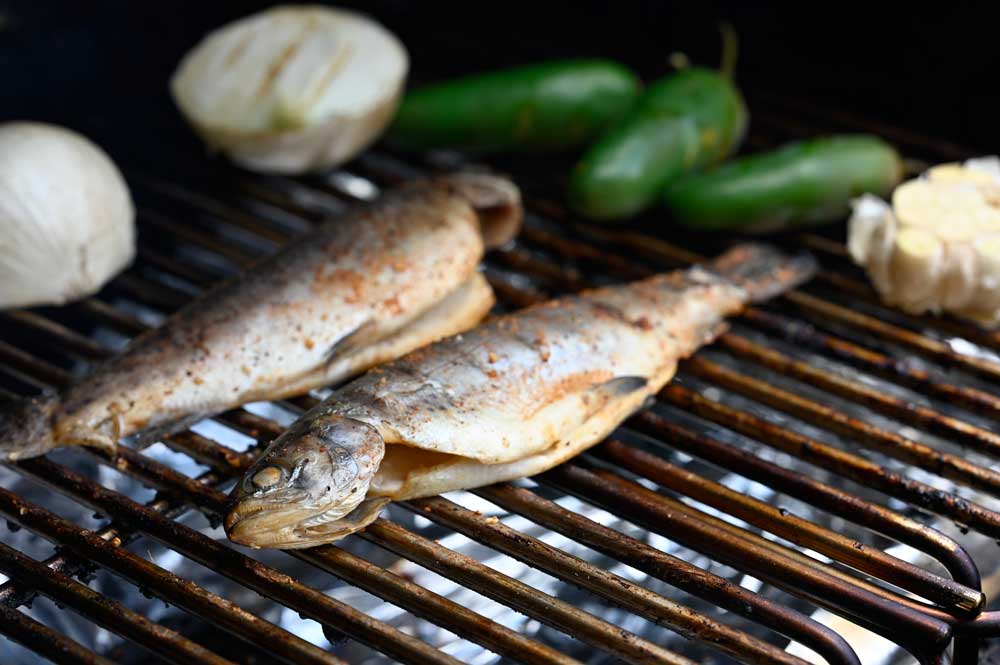 smoked trout