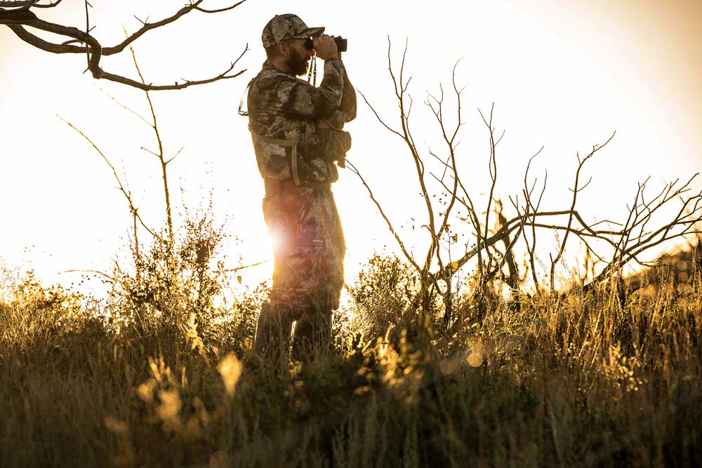 spotting for elk