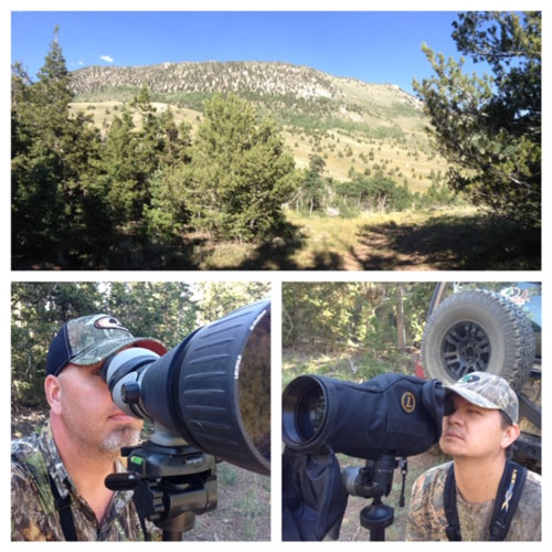 mule deer spotting scope