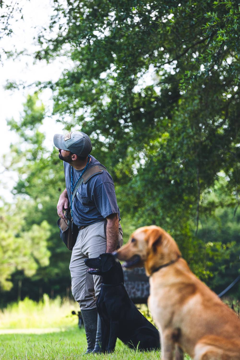 retriever training