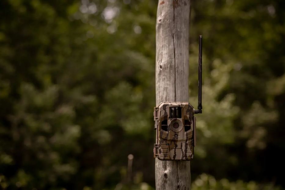 Stealth Cam Connect Bottomland