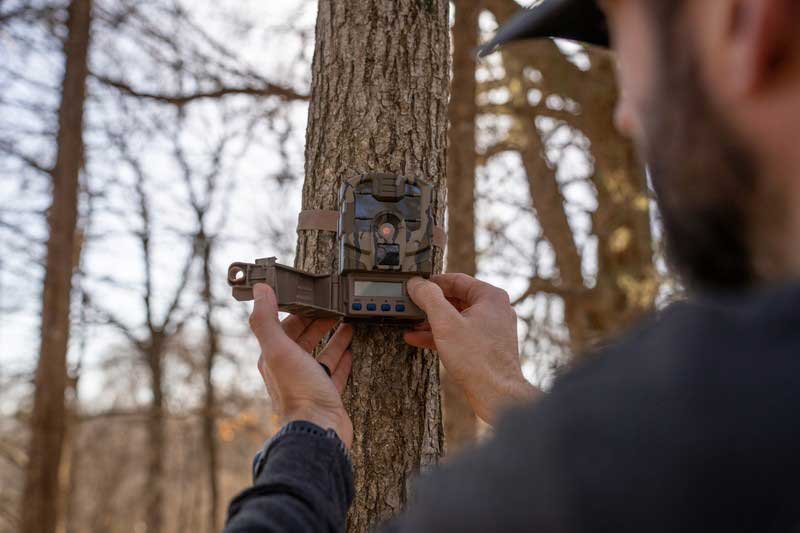 stealth cellular game camera