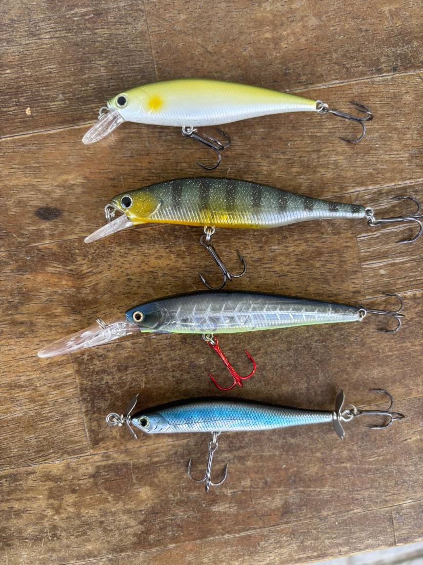 stick baits
