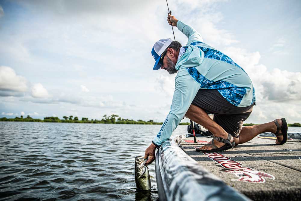 summer bass fishing