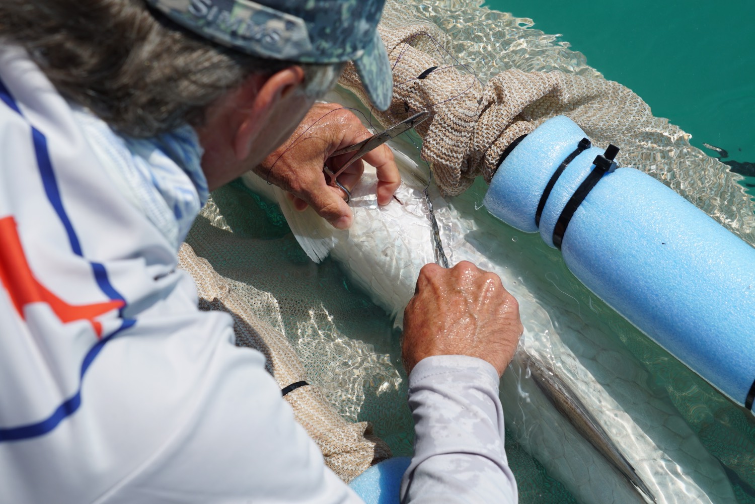 man tagging a tarpon