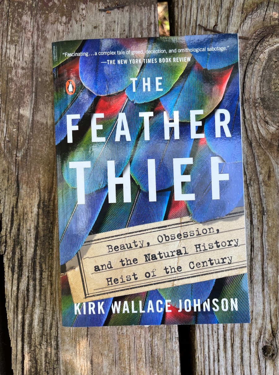 the feather thief book laying on a wooden bridge