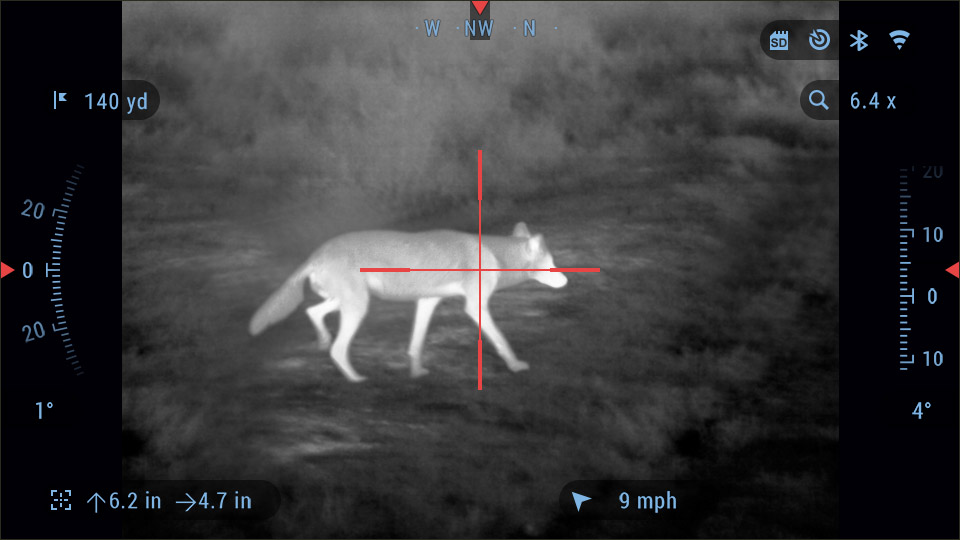 coyote seen through thermal imagery