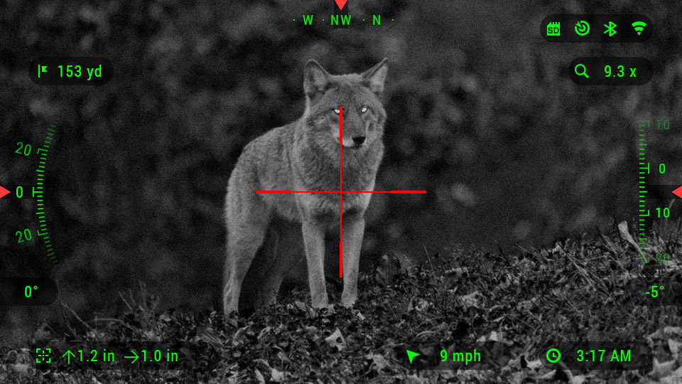 thermal coyote