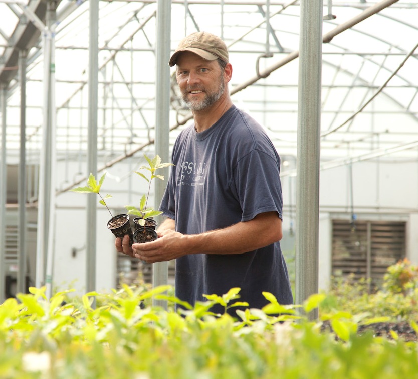 Toxey Haas plants trees