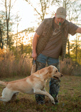 Toxey dog training