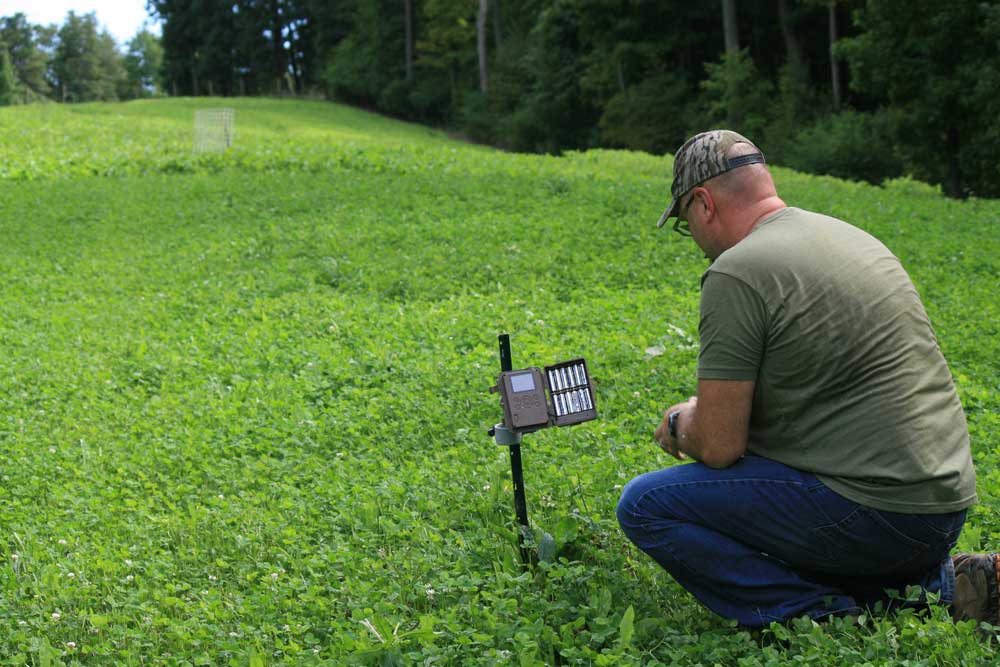 trail camera batteries