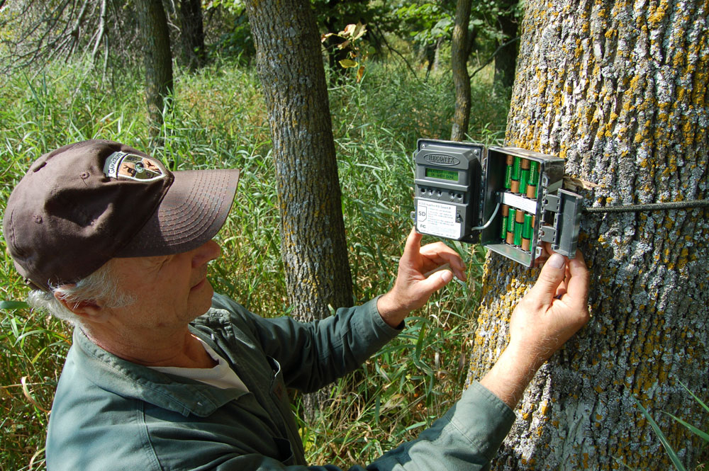 checking trail camera