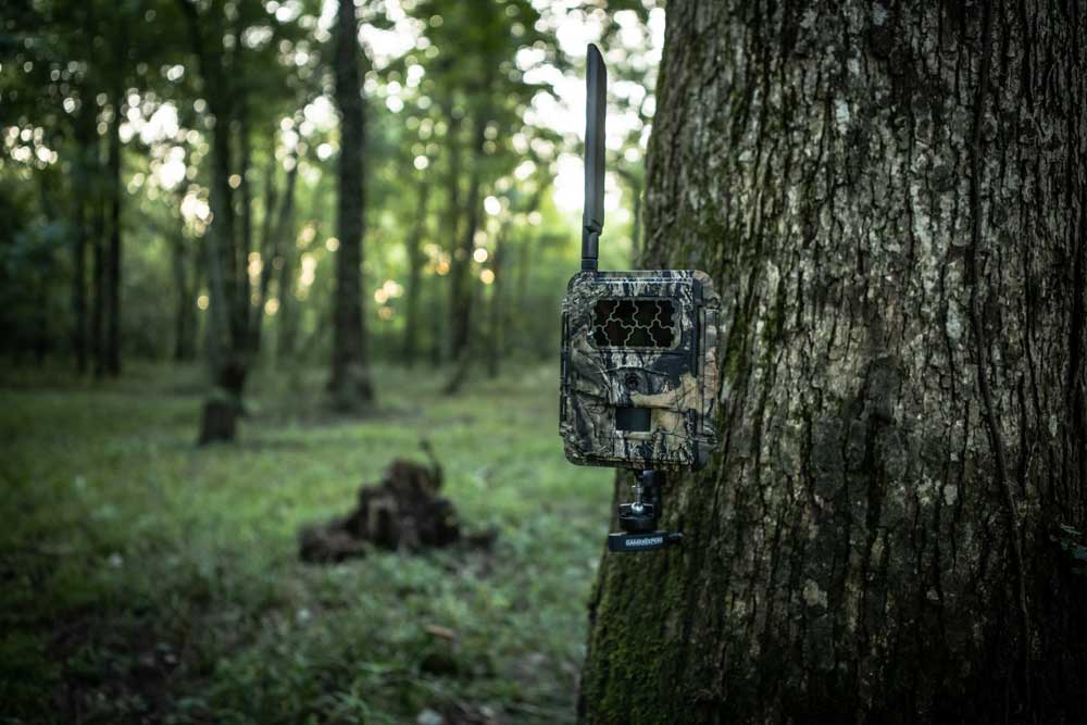 trail camera