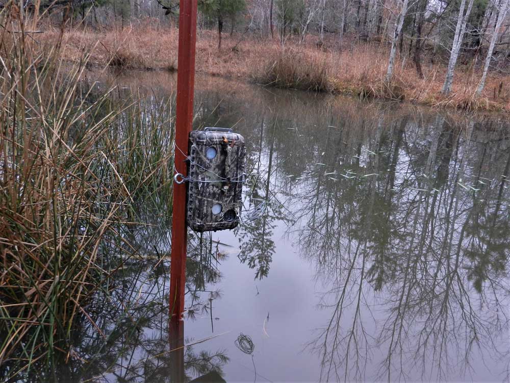 trail camera over water