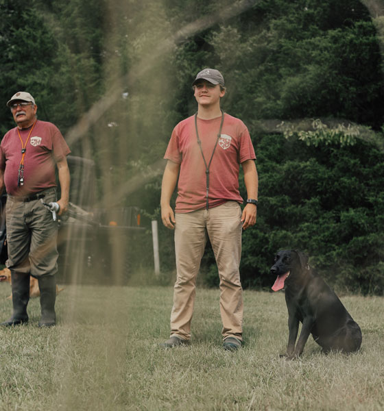 training hunting dog