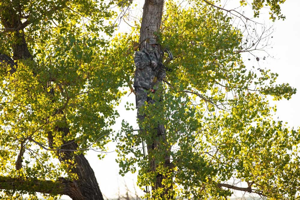 hunting from tree stand