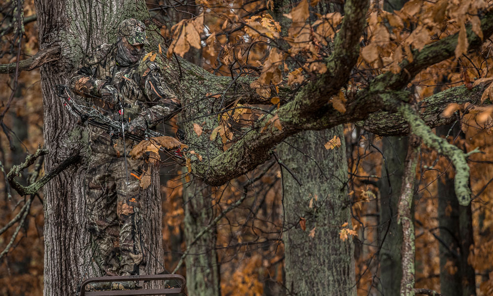 treestand hunter