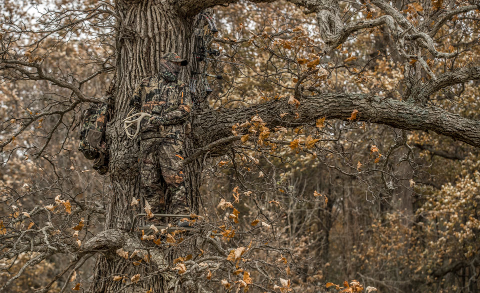 treestand hunting
