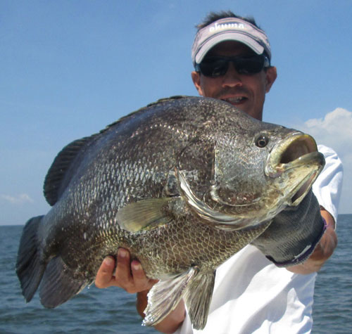 Sonny Schlinder tripletail