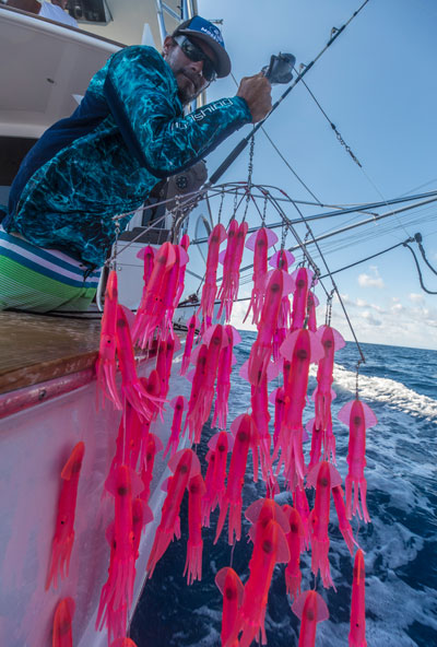 trolling for tuna with squids