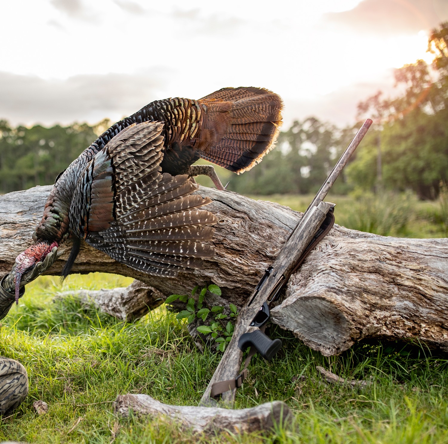 a gun and a turkey leaned up