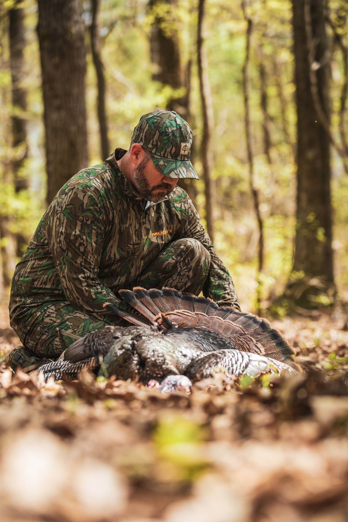 turkey hunting
