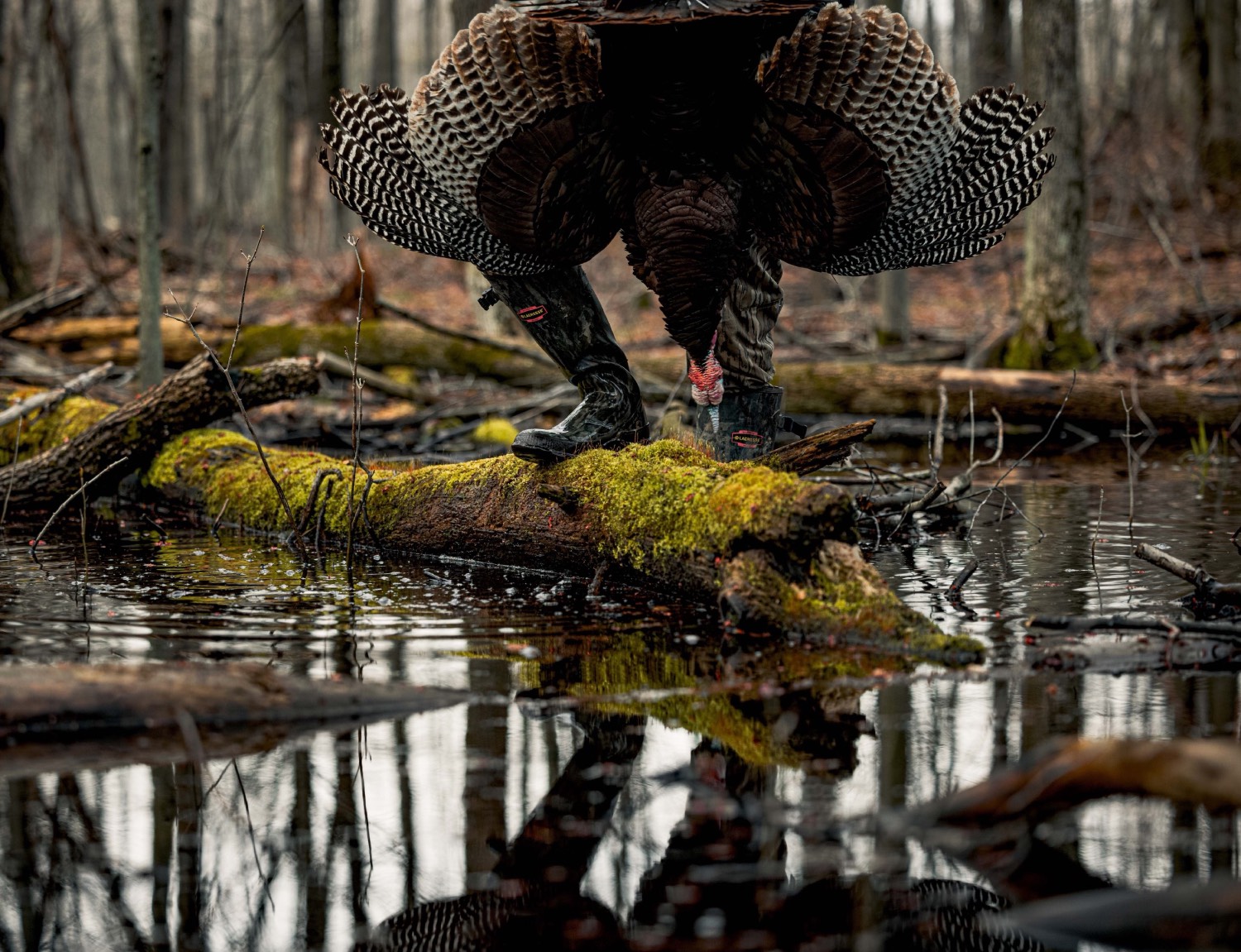 man holds turkey