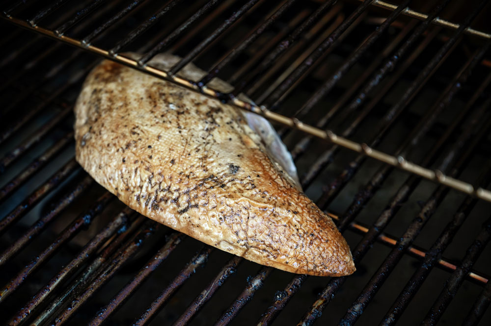 turkey breast on grill