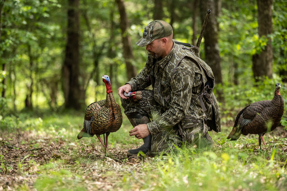 turkey decoys bottomland