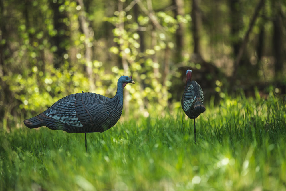 turkey decoys