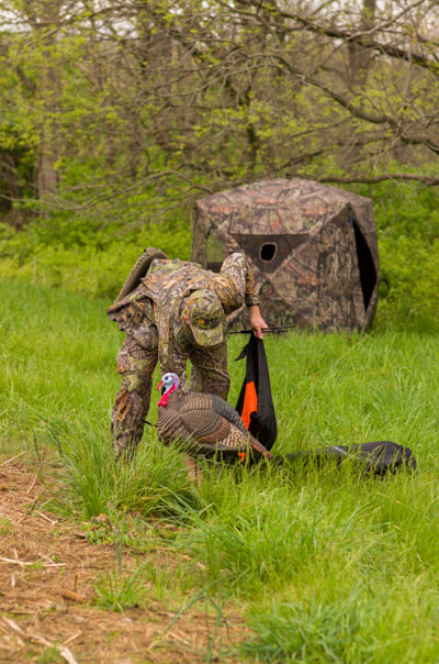turkey hunter setting out decoy