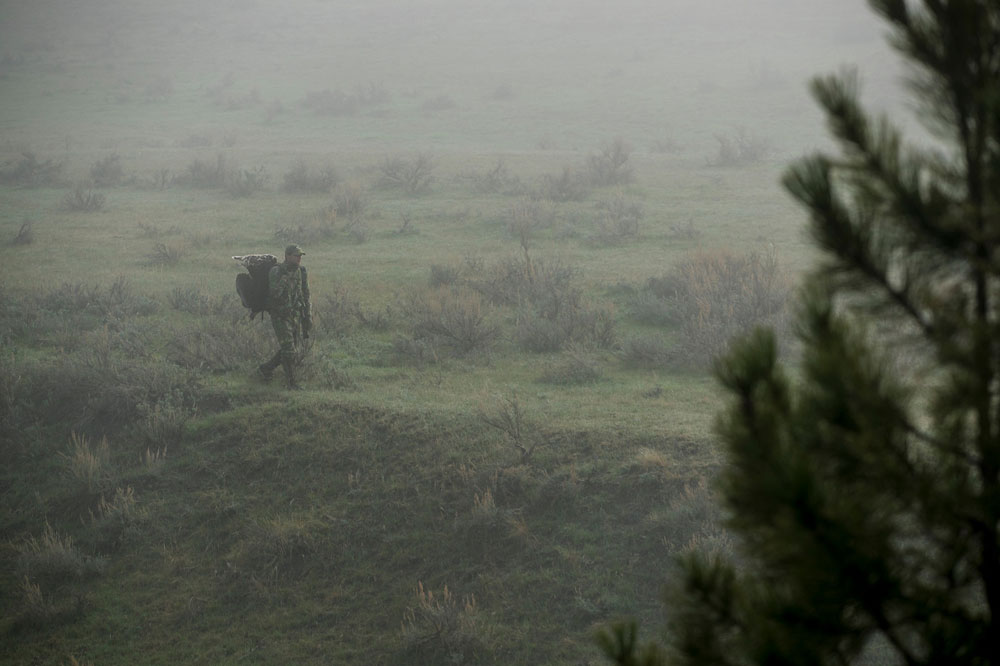 turkey hunting in fog