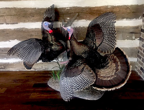 turkey mounts