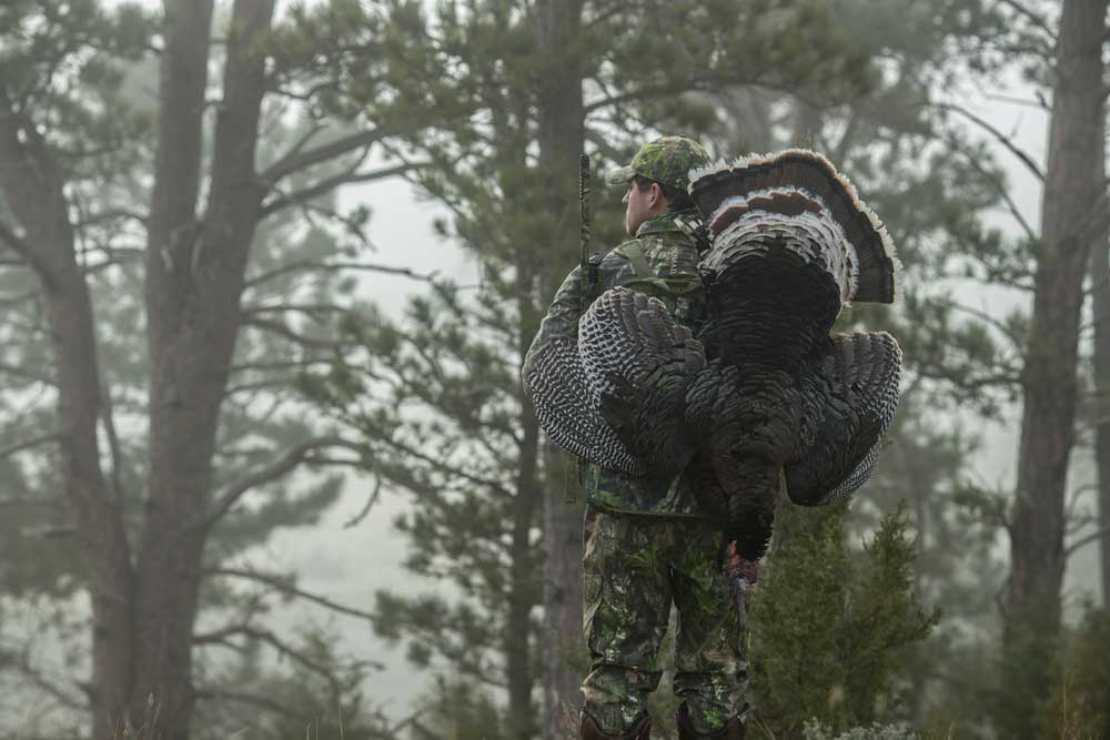 turkey over shoulder