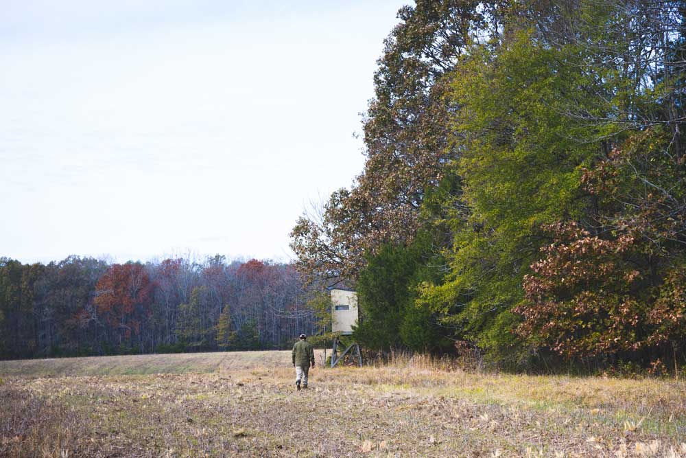 walking to deer stand